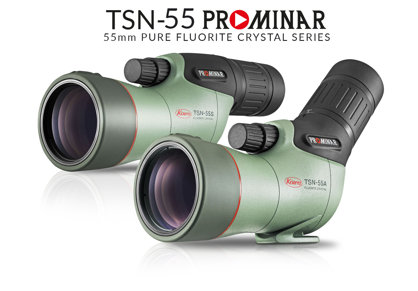 TSN-55